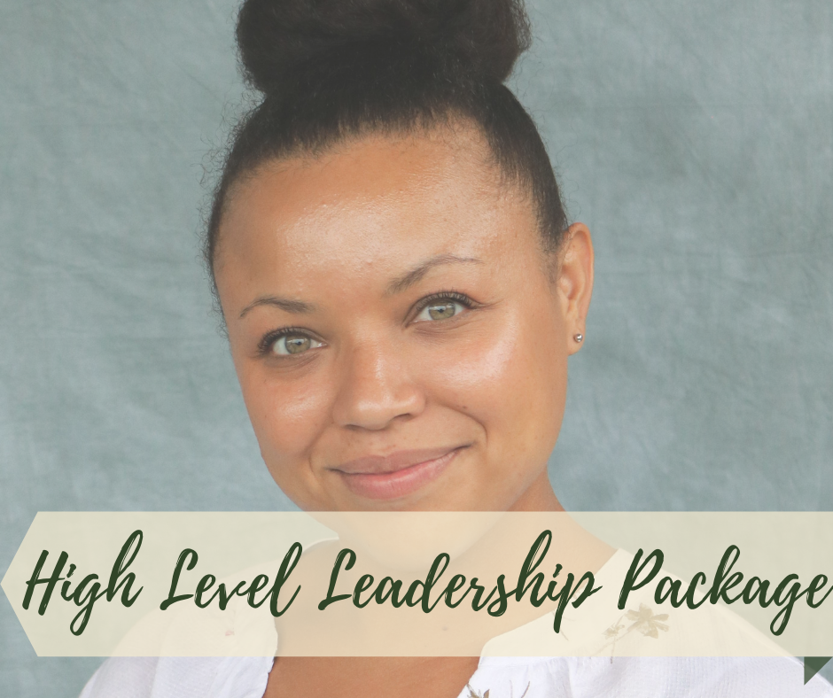 High Level Leadership Coaching Package
